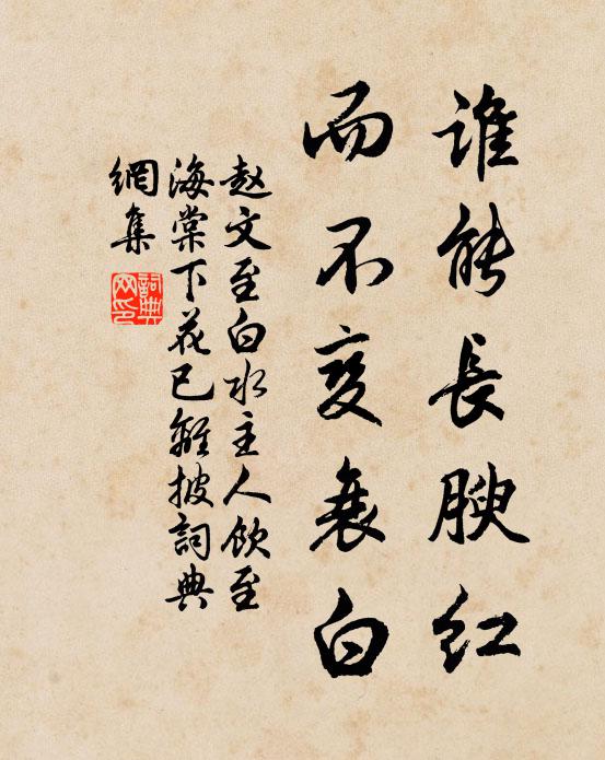 赵文谁能长腴红，而不变衰白书法作品欣赏