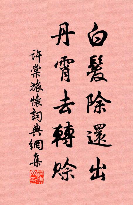 许棠白发除还出，丹霄去转赊书法作品欣赏