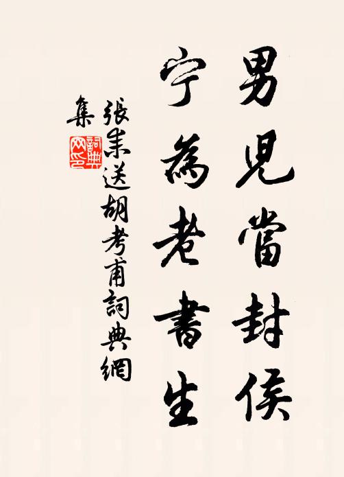张耒男儿当封侯，宁为老书生书法作品欣赏