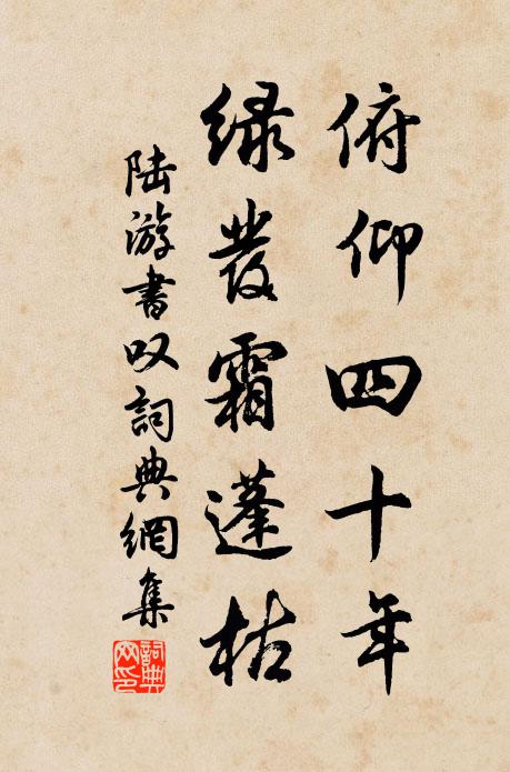 陆游俯仰四十年，绿发霜蓬枯书法作品欣赏