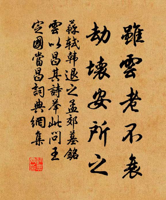 苏轼虽云老不衰，劫坏安所之书法作品欣赏