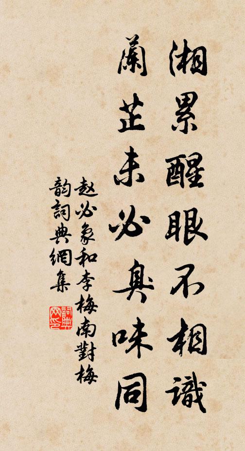 赵必象湘累醒眼不相识，兰芷未必臭味同书法作品欣赏