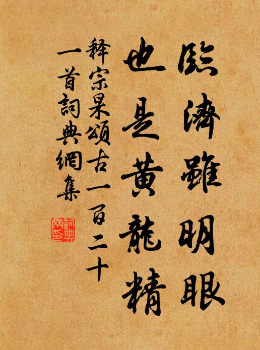 释宗杲临济虽明眼，也是黄龙精书法作品欣赏