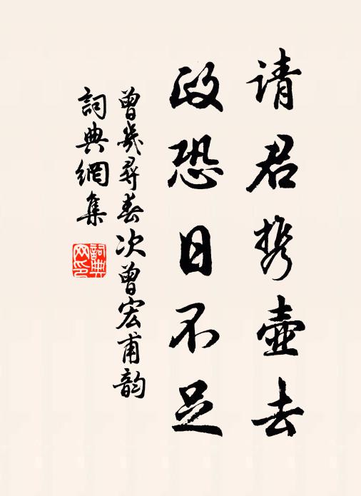 曾几请君携壶去，政恐日不足书法作品欣赏