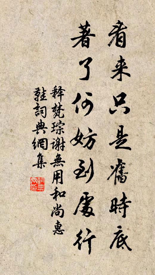 释梵琮看来只是旧时底，著了何妨到处行书法作品欣赏