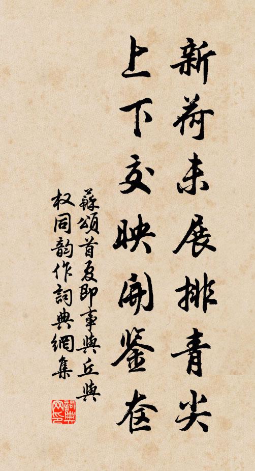 苏颂新荷未展排青尖，上下交映开鉴奁书法作品欣赏