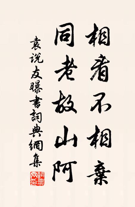 袁说友相看不相弃，同老故山阿书法作品欣赏