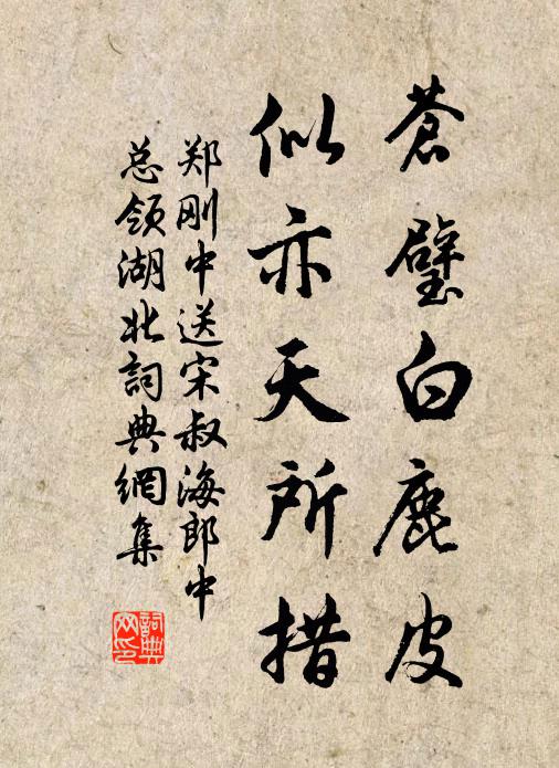 郑刚中苍璧白鹿皮,似亦天所措书法作品欣赏
