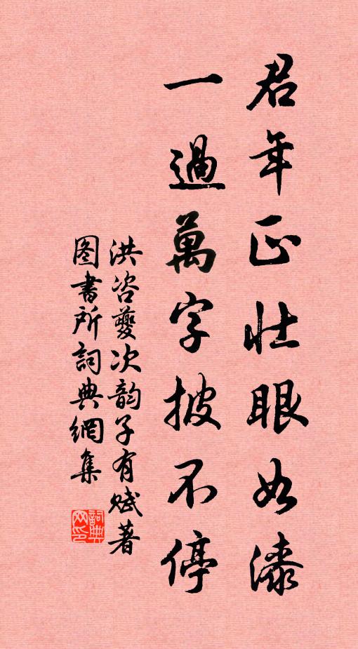 洪咨夔君年正壮眼如漆，一过万字披不停书法作品欣赏