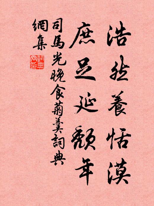 司马光浩然养恬漠，庶足延颓年书法作品欣赏