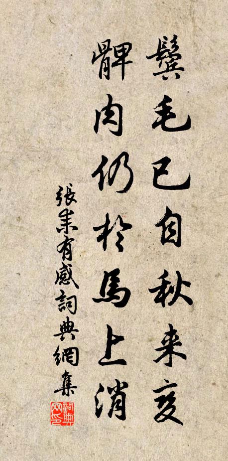 张耒鬓毛已自秋来变，髀肉仍于马上消书法作品欣赏