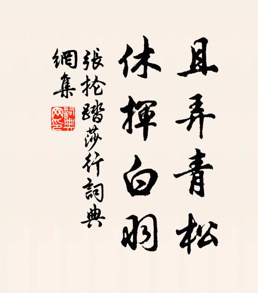 张抡且弄青松，休挥白羽书法作品欣赏