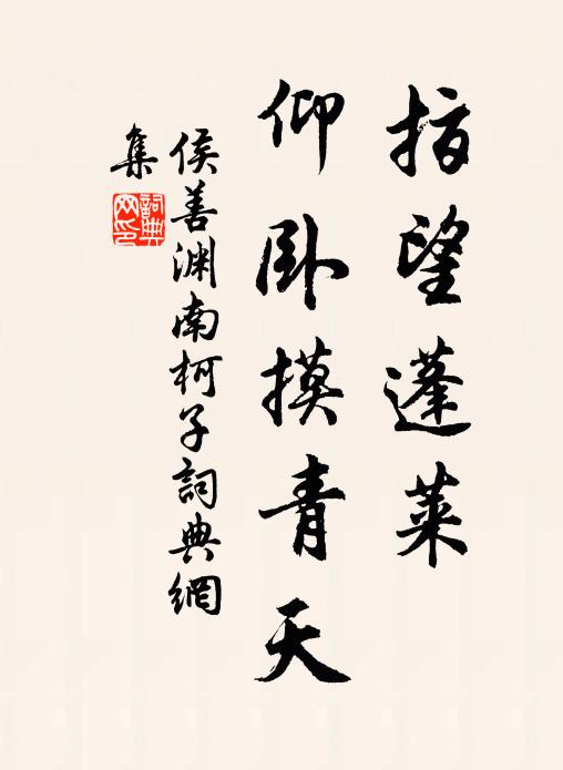 侯善渊指望蓬莱，仰卧摸青天书法作品欣赏