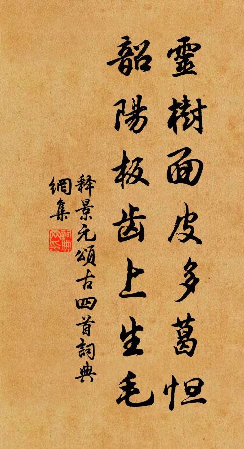释景元灵树面皮多葛怛，韶阳板齿上生毛书法作品欣赏