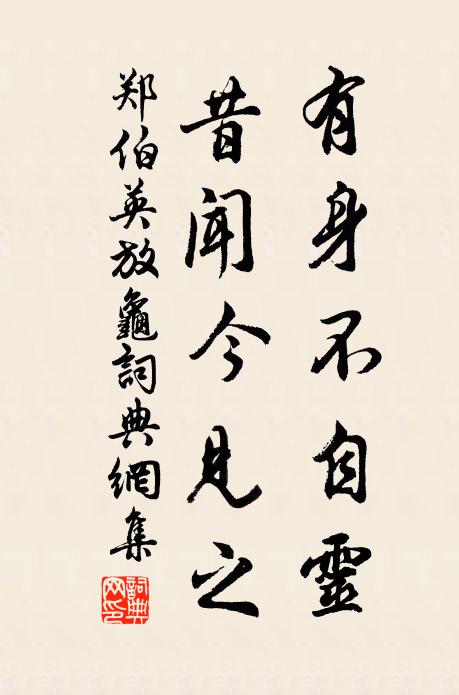 郑伯英有身不自灵，昔闻今见之书法作品欣赏