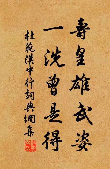 杜范寿皇雄武姿，一洗曾是得书法作品欣赏