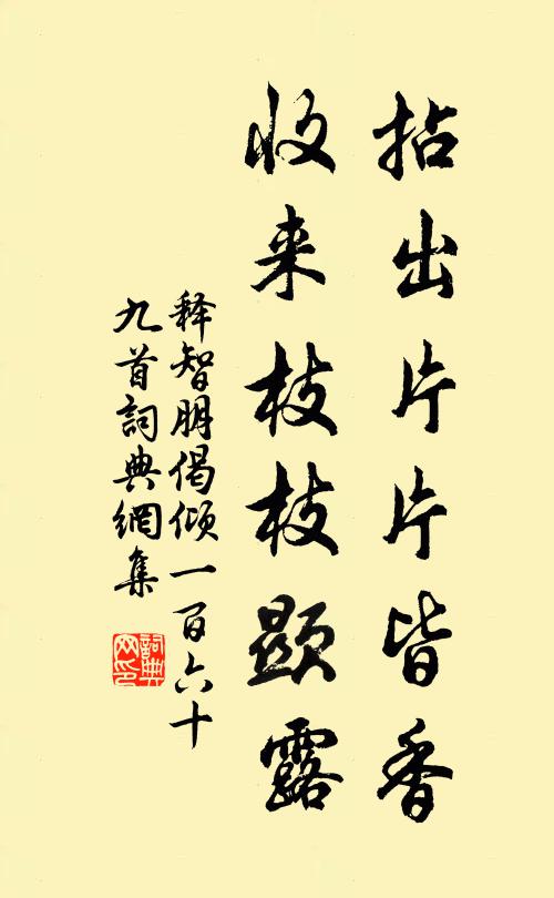 释智朋拈出片片皆香，收来枝枝显露书法作品欣赏