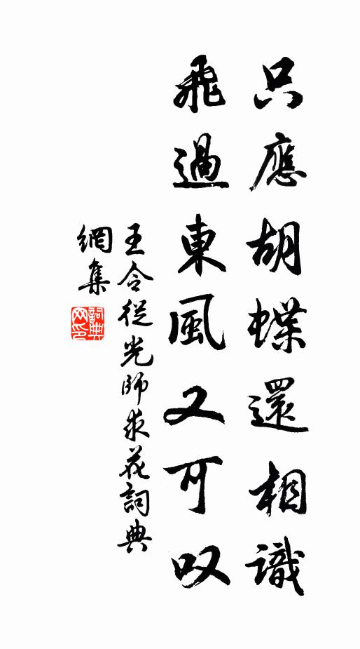 王令只应胡蝶还相识，飞过东风又可叹书法作品欣赏