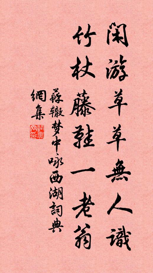 苏辙闲游草草无人识，竹杖藤鞋一老翁书法作品欣赏