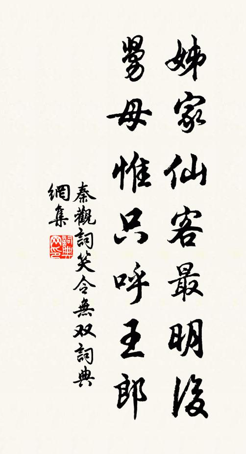 秦观姊家仙客最明后，舅母惟只呼王郎书法作品欣赏
