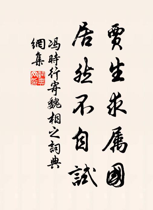 冯时行贾生求属国，居然不自试书法作品欣赏