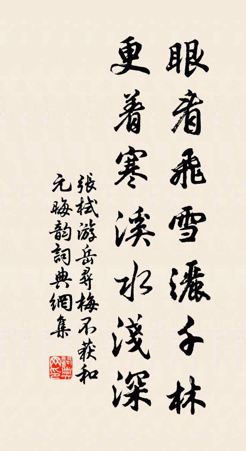 张栻眼看飞雪洒千林，更着寒溪水浅深书法作品欣赏