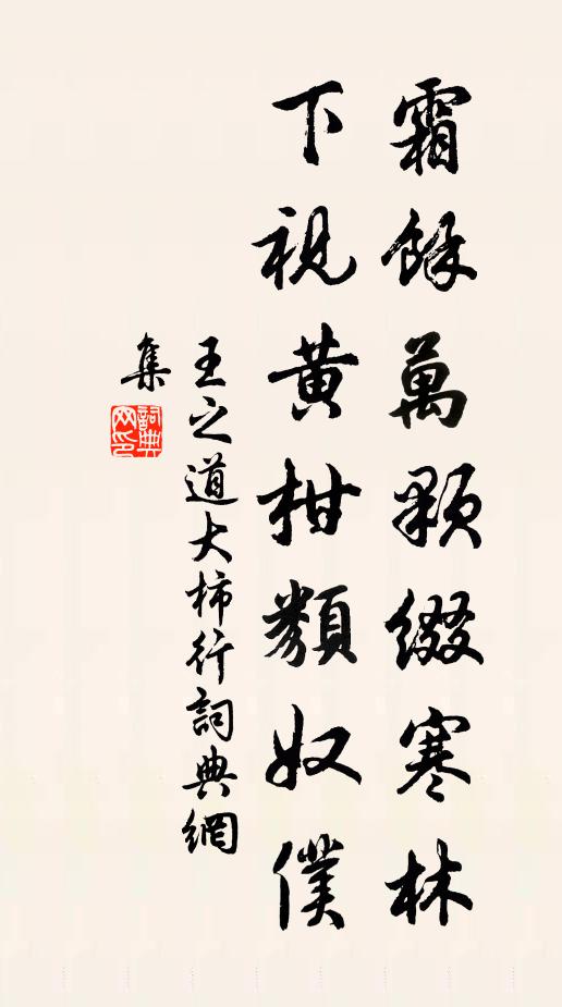 王之道霜余万颗缀寒林，下视黄柑类奴仆书法作品欣赏
