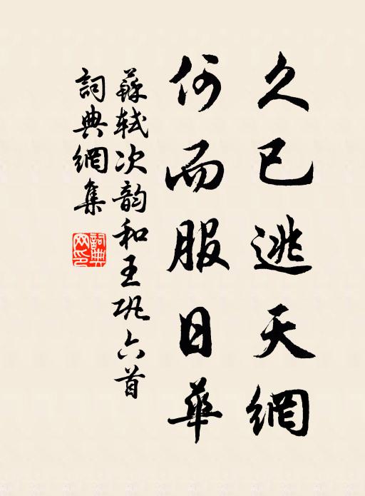 苏轼久已逃天网，何而服日华书法作品欣赏