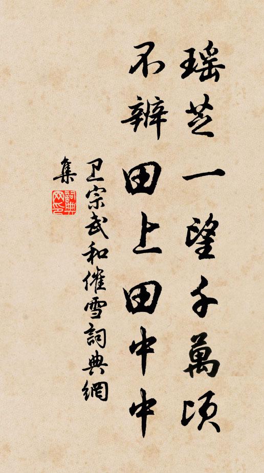 卫宗武瑶芝一望千万顷，不辨田上田中中书法作品欣赏