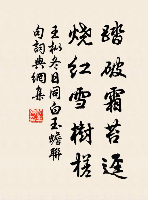 王枞踏破霜苔迳，烧红雪树槎书法作品欣赏