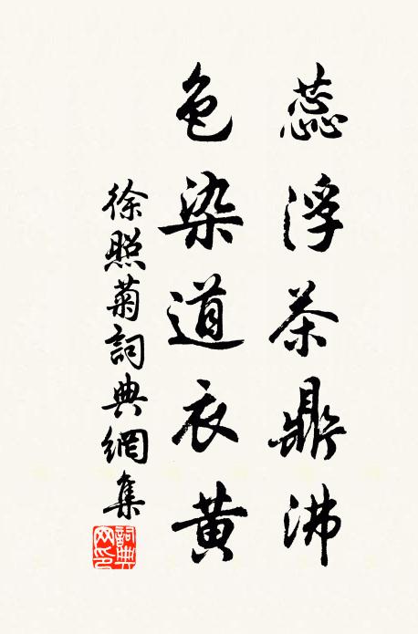 徐照蕊浮茶鼎沸，色染道衣黄书法作品欣赏