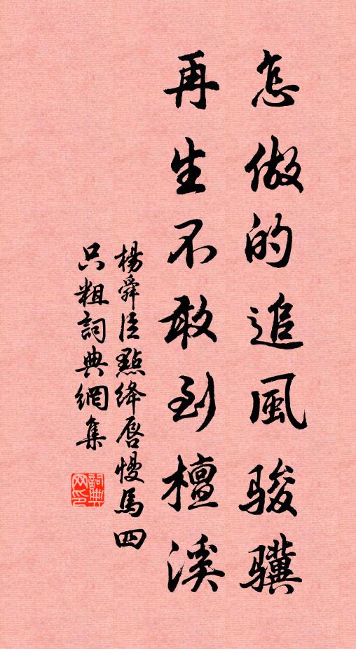 杨舜臣怎做的追风骏骥，再生不敢到檀溪书法作品欣赏