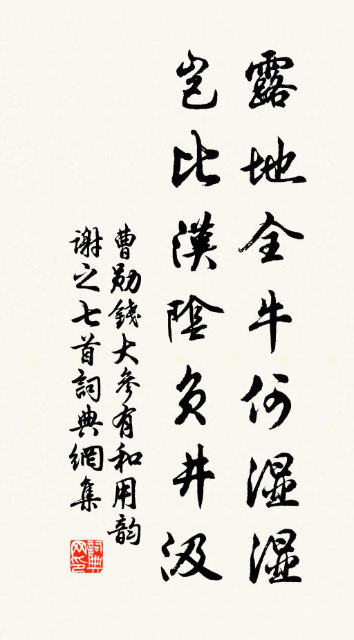 曹勋露地全牛何湿湿，岂比汉阴负井汲书法作品欣赏