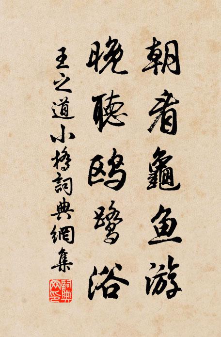 王之道朝看龟鱼游，晚听鸥鹭浴书法作品欣赏