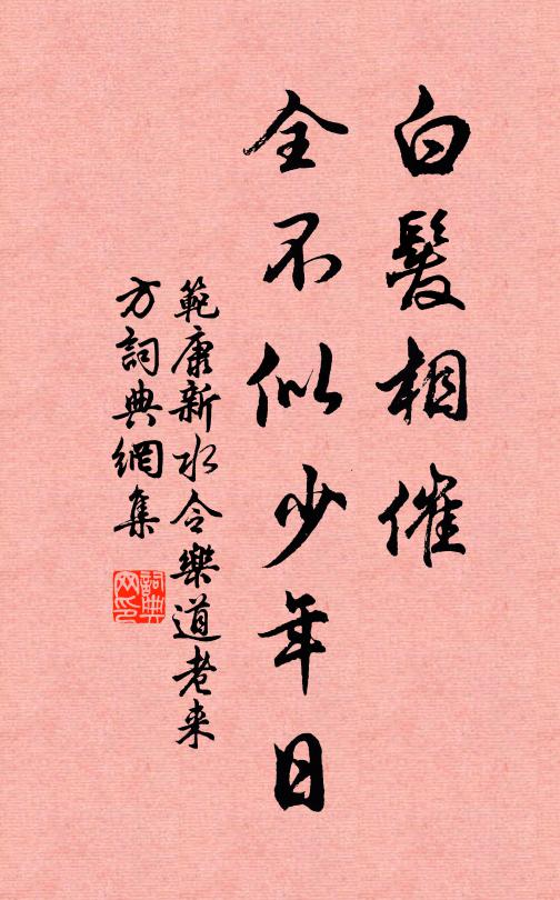 范康白发相催,全不似少年日书法作品欣赏