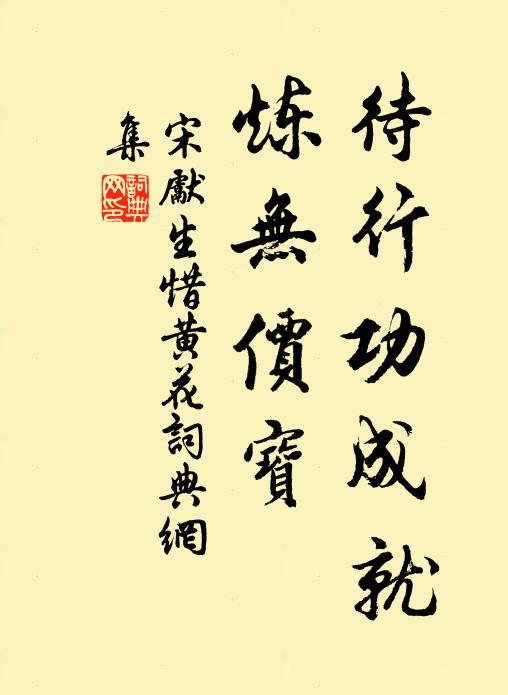 宋先生待行功成就，炼无价宝书法作品欣赏