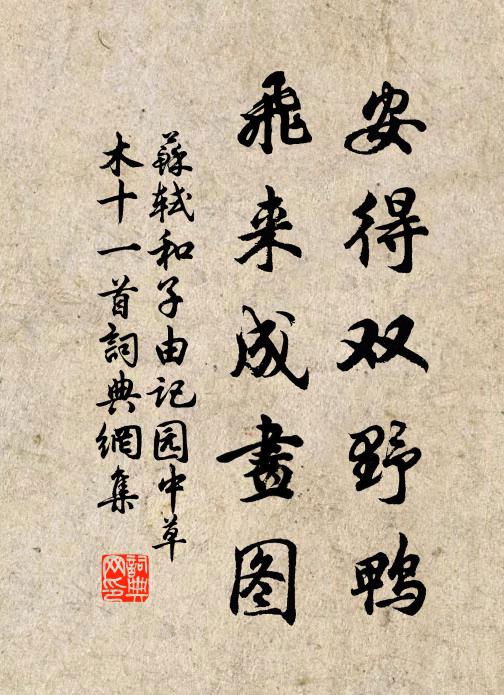 苏轼安得双野鸭，飞来成画图书法作品欣赏