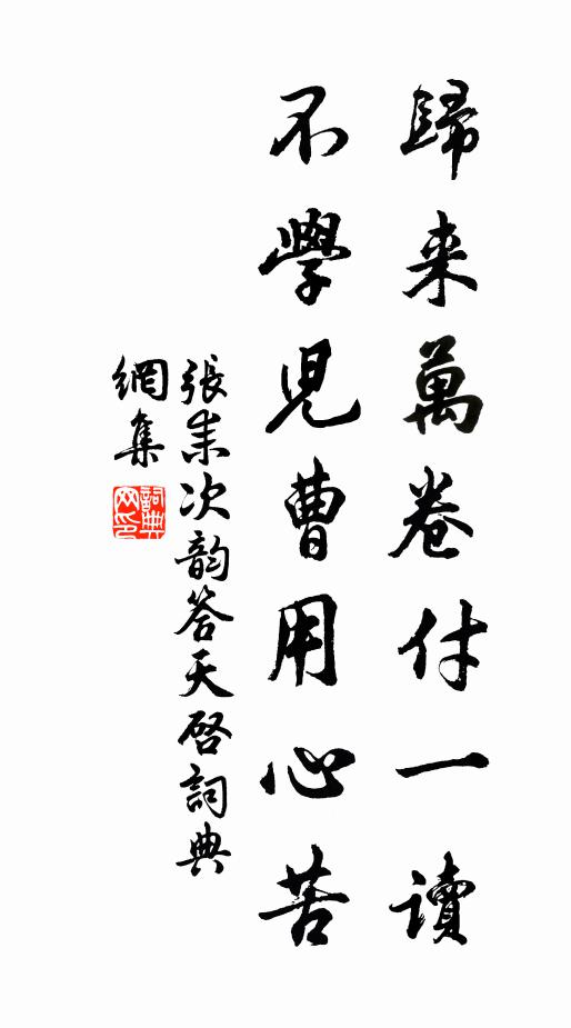 张耒归来万卷付一读，不学儿曹用心苦书法作品欣赏