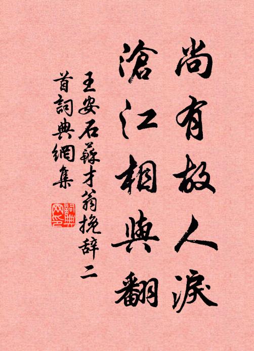 王安石尚有故人泪，沧江相与翻书法作品欣赏