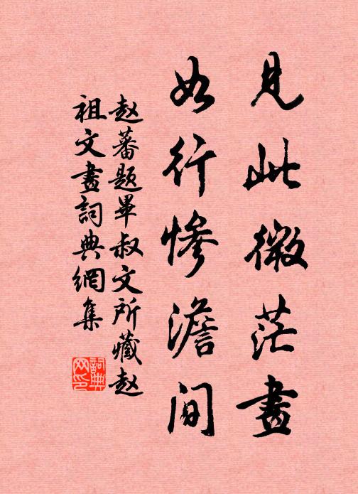 赵蕃见此微茫画，如行惨澹间书法作品欣赏