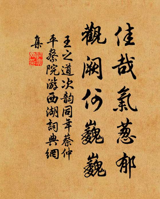 王之道佳哉气葱郁，观阙何巍巍书法作品欣赏