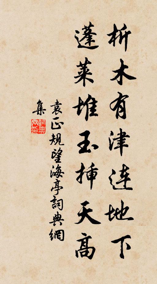 袁正规析木有津连地下，蓬莱堆玉插天高书法作品欣赏