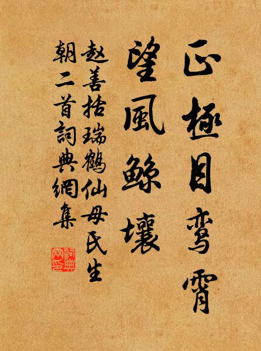 赵善括正极目鸾霄，望风鲸壤书法作品欣赏