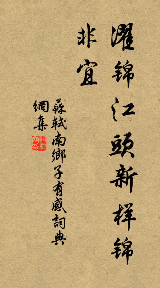 苏轼濯锦江头新样锦，非宜书法作品欣赏
