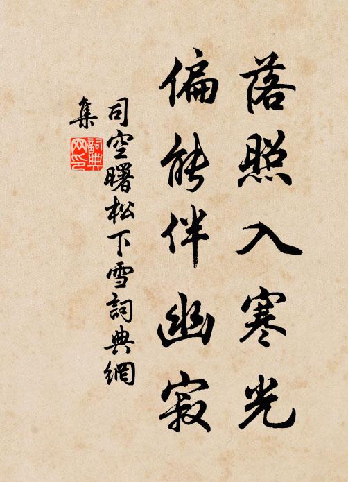 司空曙落照入寒光，偏能伴幽寂书法作品欣赏