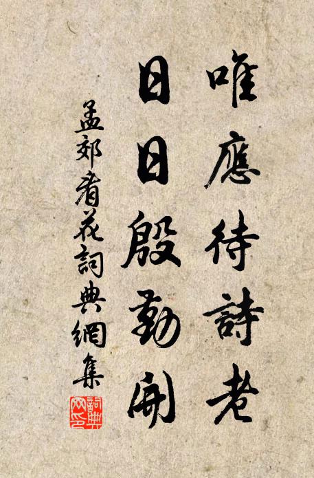 孟郊唯应待诗老，日日殷勤开书法作品欣赏