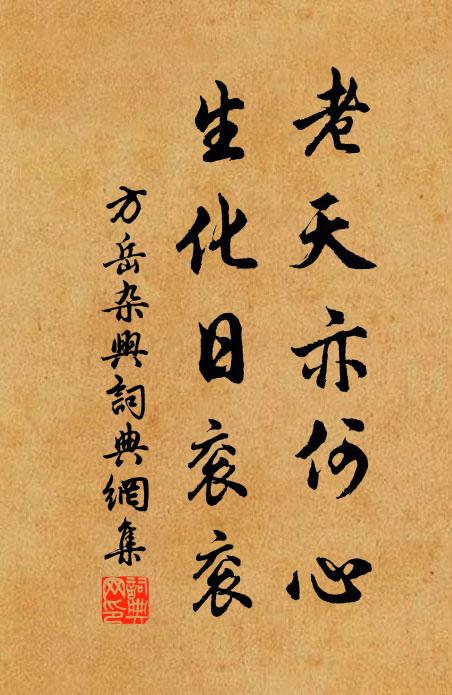 方岳老天亦何心，生化日衮衮书法作品欣赏