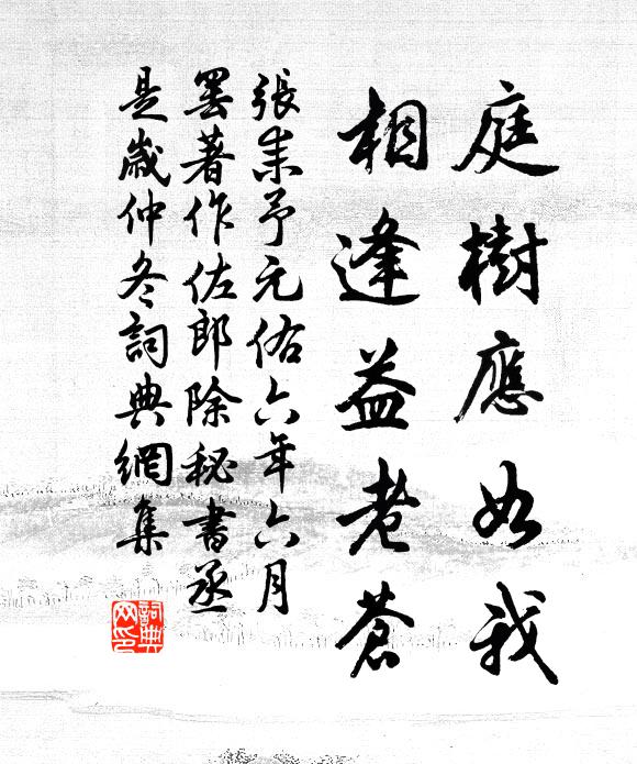 张耒庭树应如我，相逢益老苍书法作品欣赏