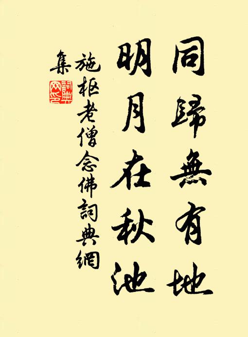 施枢同归无有地，明月在秋池书法作品欣赏