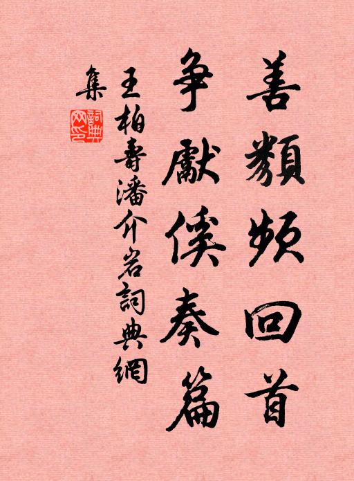 王柏善类频回首，争先傒奏篇书法作品欣赏